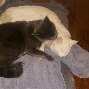 Meet your Posher, Tracy